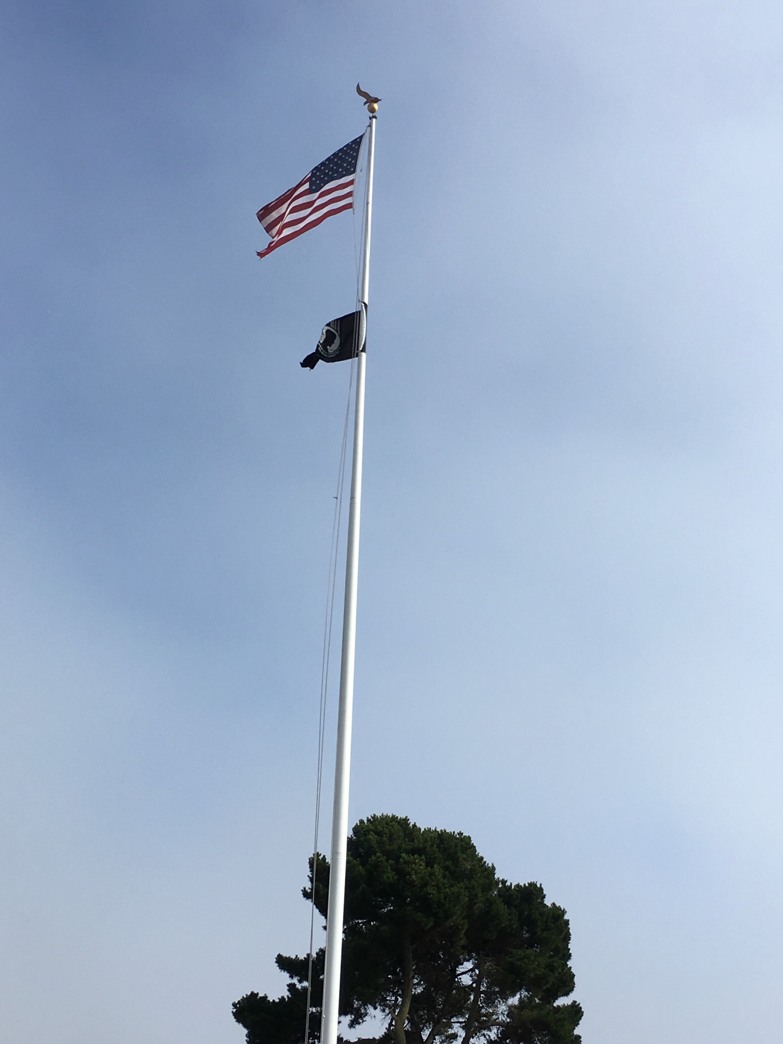 SFVA Flag Pole